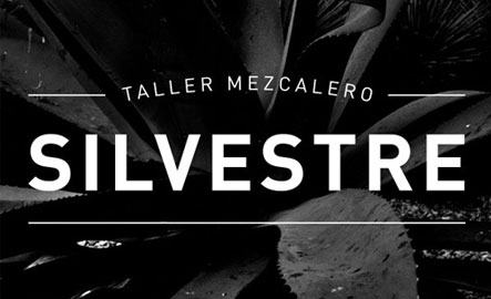 Silvestre Taller Mezcalero 